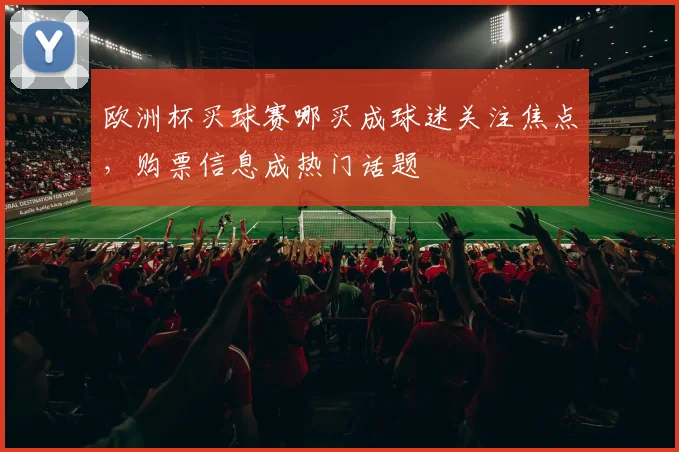 欧洲杯买球赛哪买成球迷关注焦点，购票信息成热门话题