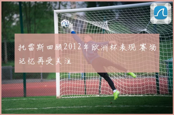 托雷斯回顾2012年欧洲杯表现 赛场记忆再受关注