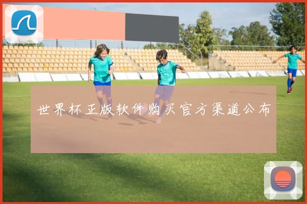 世界杯正版软件购买官方渠道公布