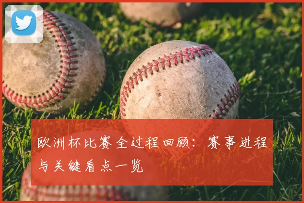 欧洲杯比赛全过程回顾：赛事进程与关键看点一览